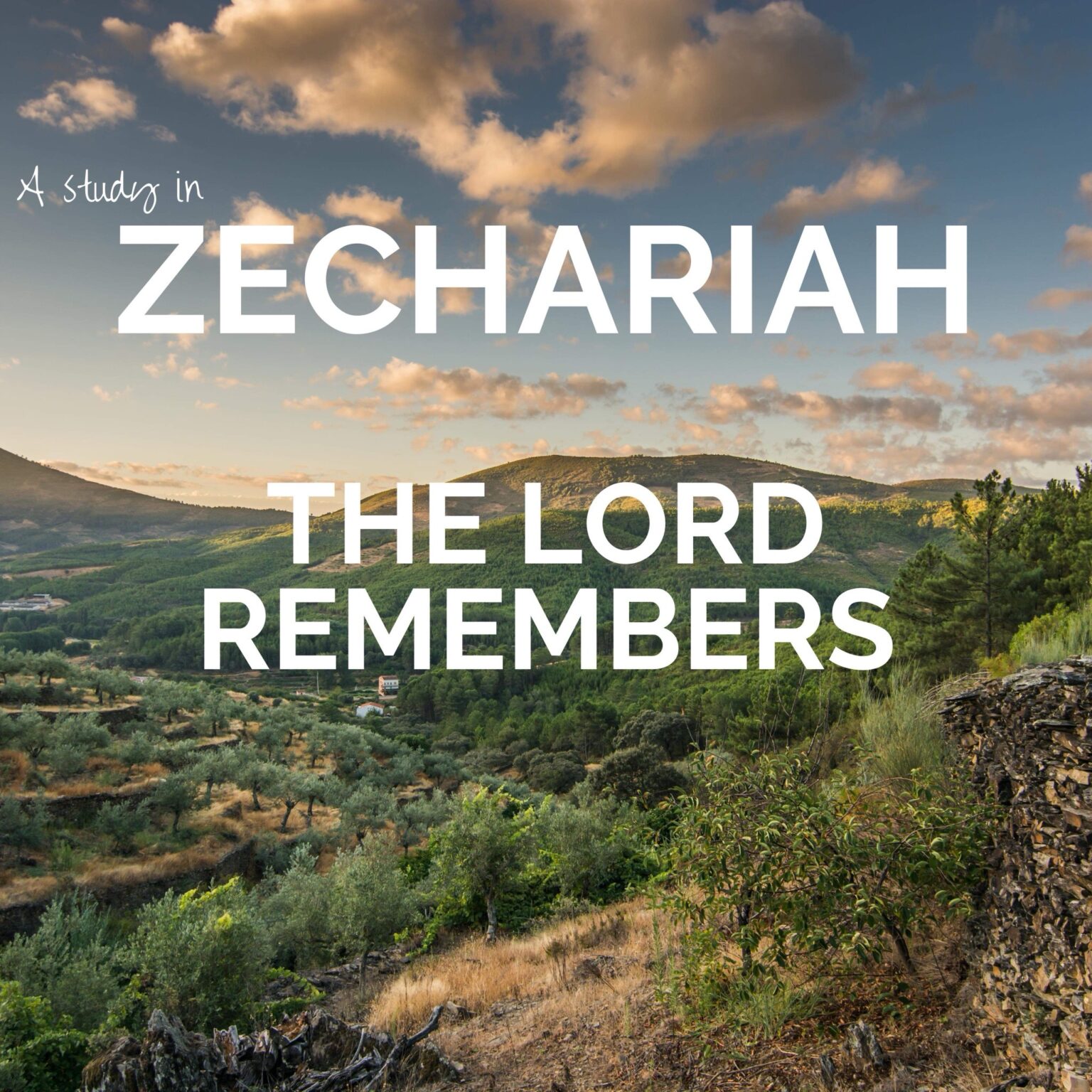 God Remembered Zechariah 8:1-17 Chapter 12 “The Plans I Have For You ...